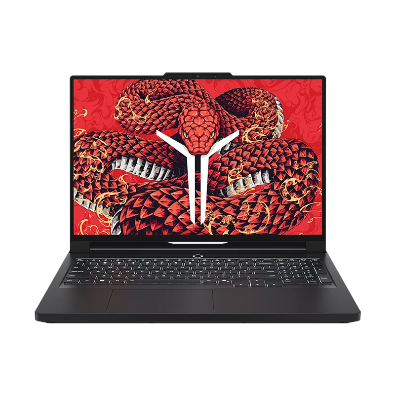 Lenovo Legion R9000P 2025 (Legion Pro 5 16ADR10) · Ryzen 9 8945HX · RTX 5060 · 16 ГБ · 1 ТБ — Black