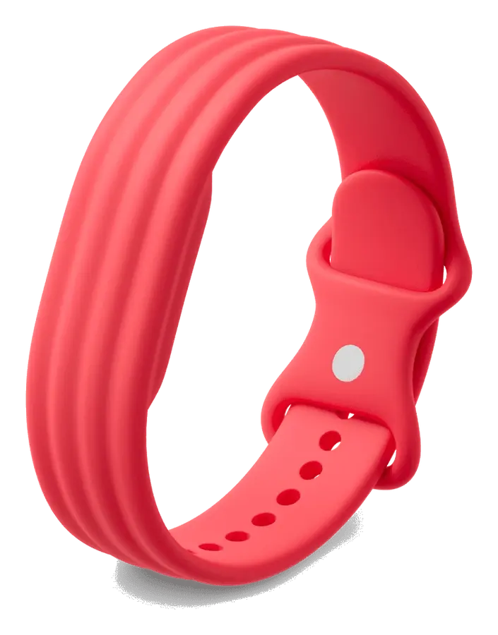 Fitbit Air — Berry