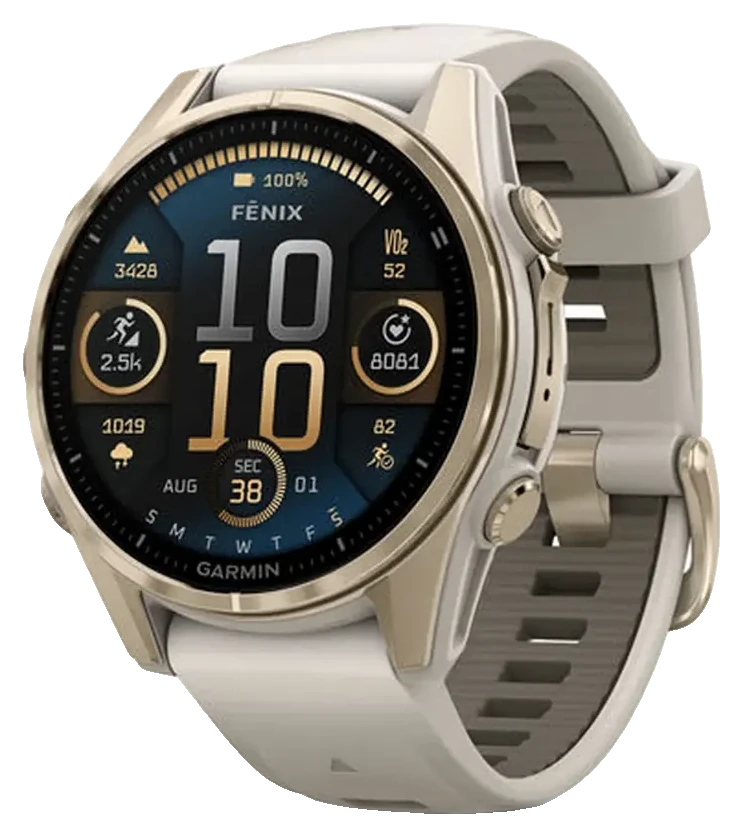 Garmin Fenix 8 — gray
